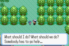 PokemonRuby_01.png