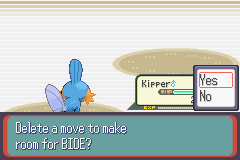 PokemonRuby_06-1.png