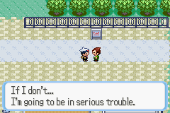 PokemonRuby_07-1.png