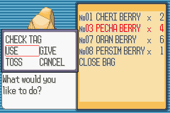 PokemonRuby_09-1.png