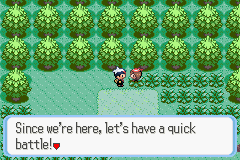 PokemonRuby_11.png