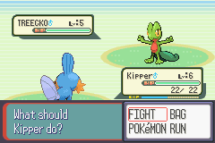 PokemonRuby_13.png