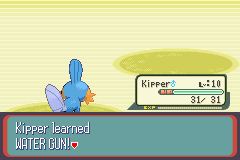 PokemonRuby_28.png