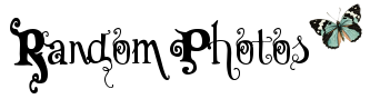 photo random3.png
