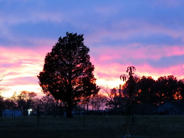 photo 069_600.jpg