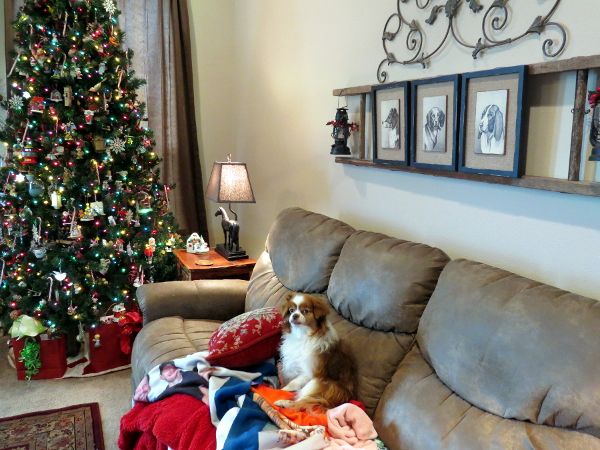 photo abigail_tree1_600.jpg