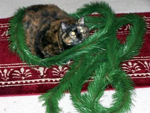photo tigerlily_garland_500.jpg