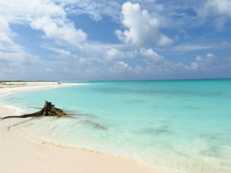Playa Sirena y Playa Paraiso: Bellezas naturales - Cuba 2013! Cultura y placer (10)