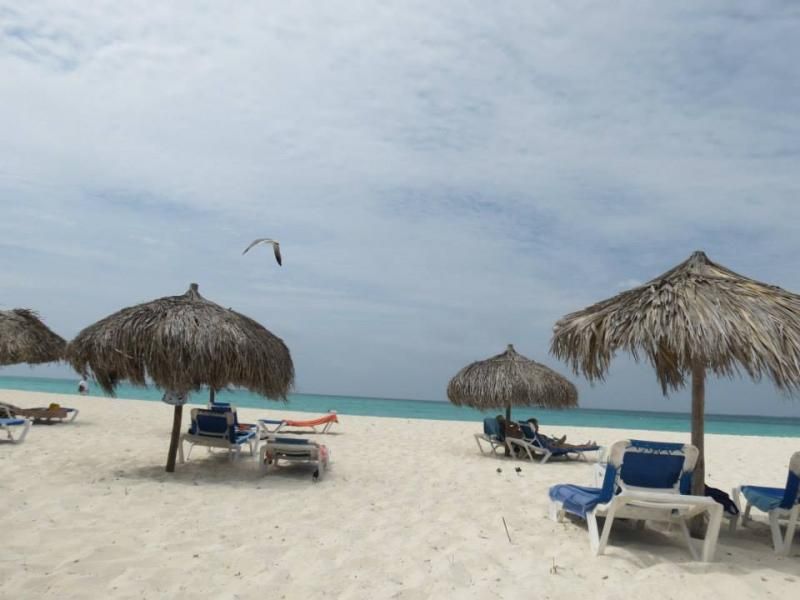 Playa Sirena y Playa Paraiso: Bellezas naturales - Cuba 2013! Cultura y placer (9)