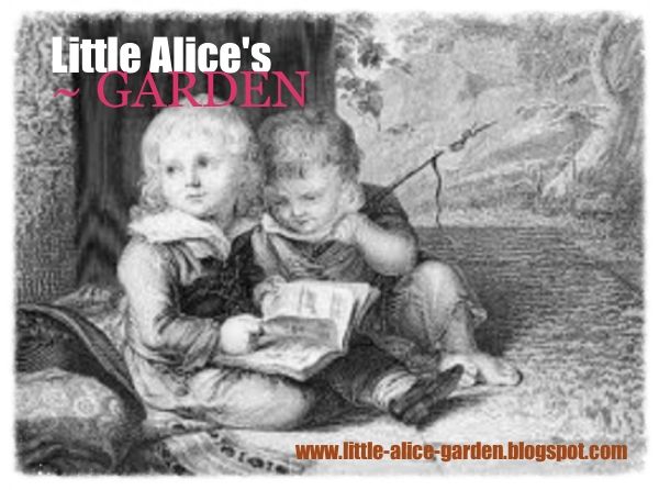Little Alice's Garden