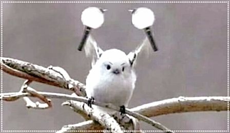 02c8741e-dc6f-4d2c-8f12-895641578006_zps