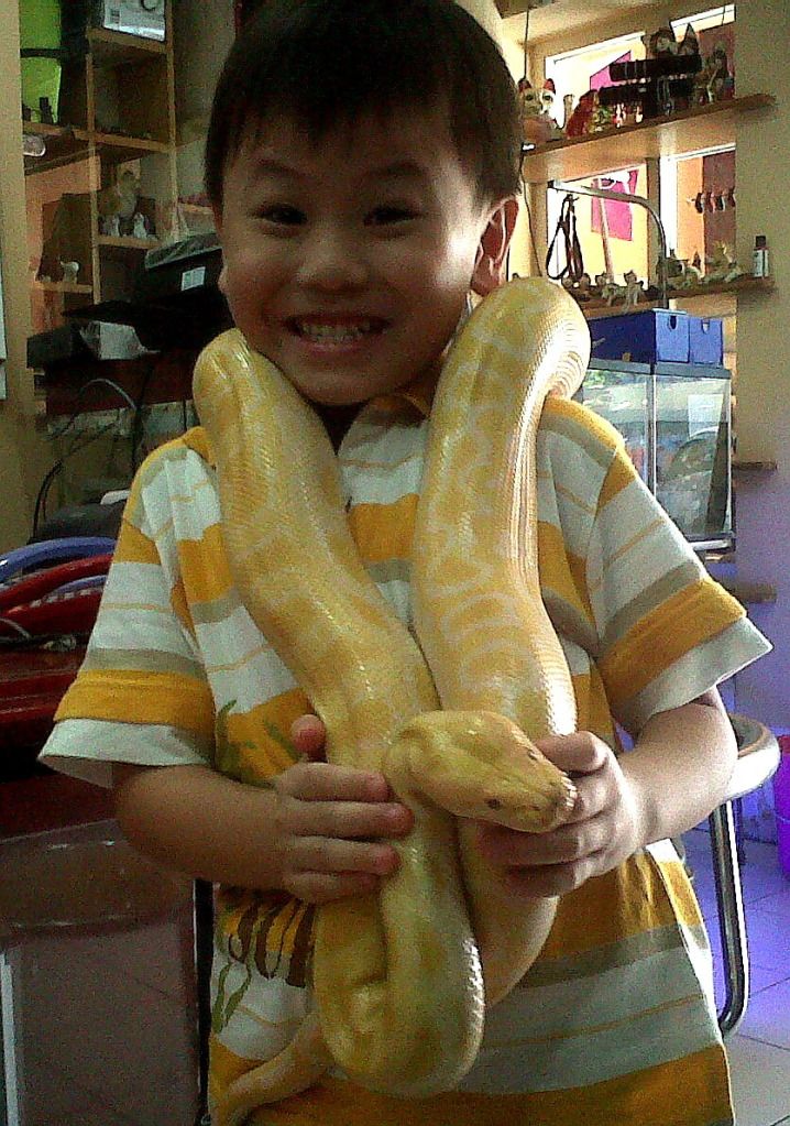 Ken dan Molu