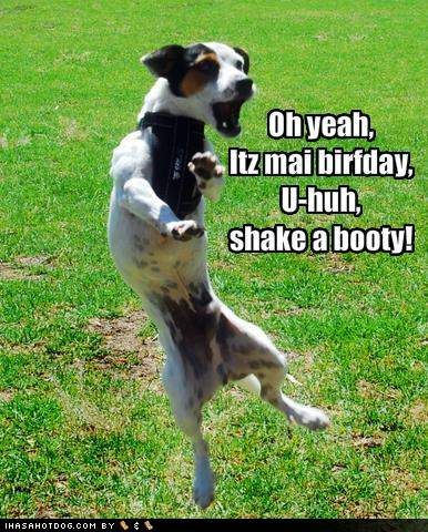 funny-dog-pictures-dog-does-a-dance-on-his-birthday_zps9918394a.jpg