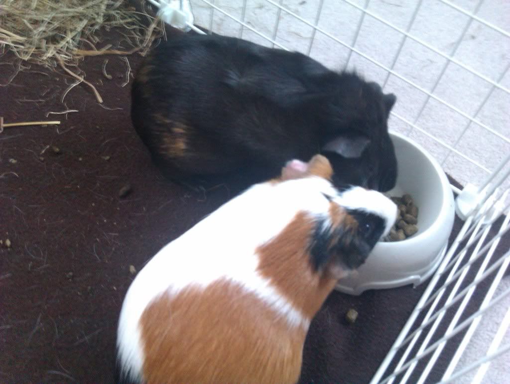 IMAG0289.jpg