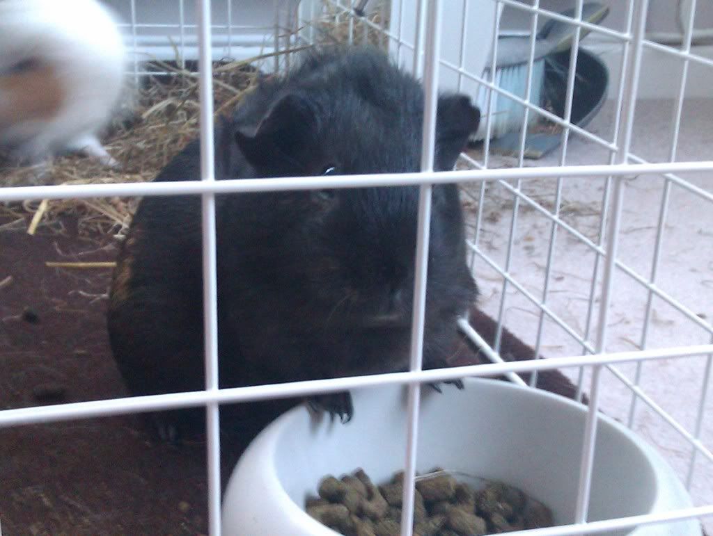 IMAG0291.jpg