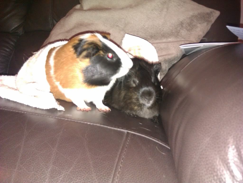IMAG0444.jpg