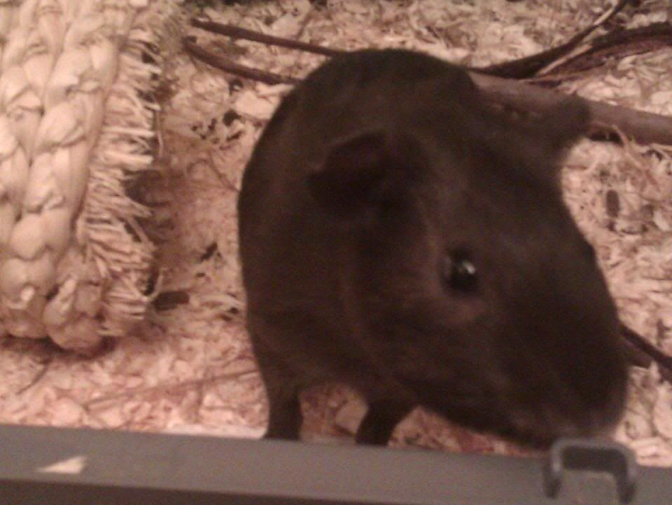 pigture6.jpg