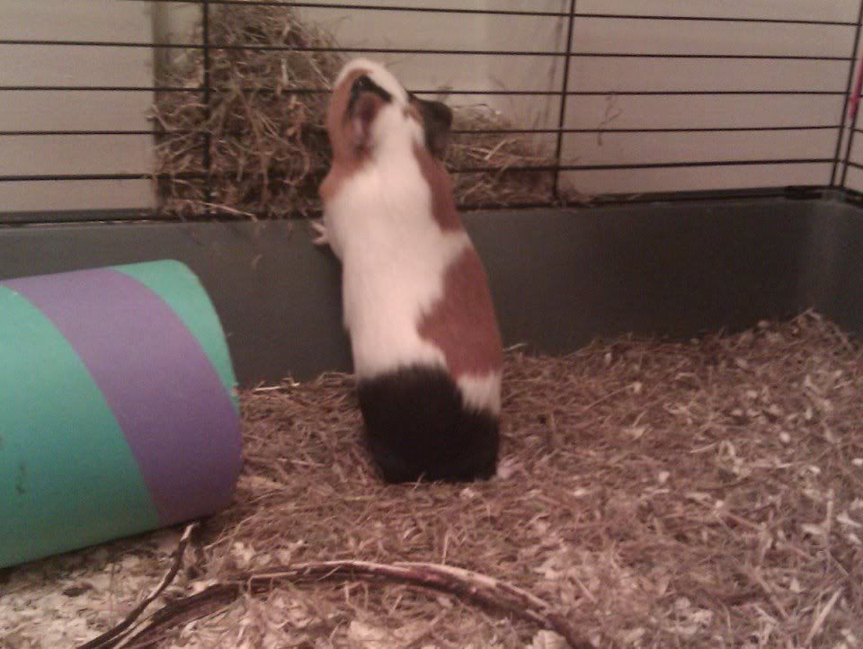 pigture8.jpg