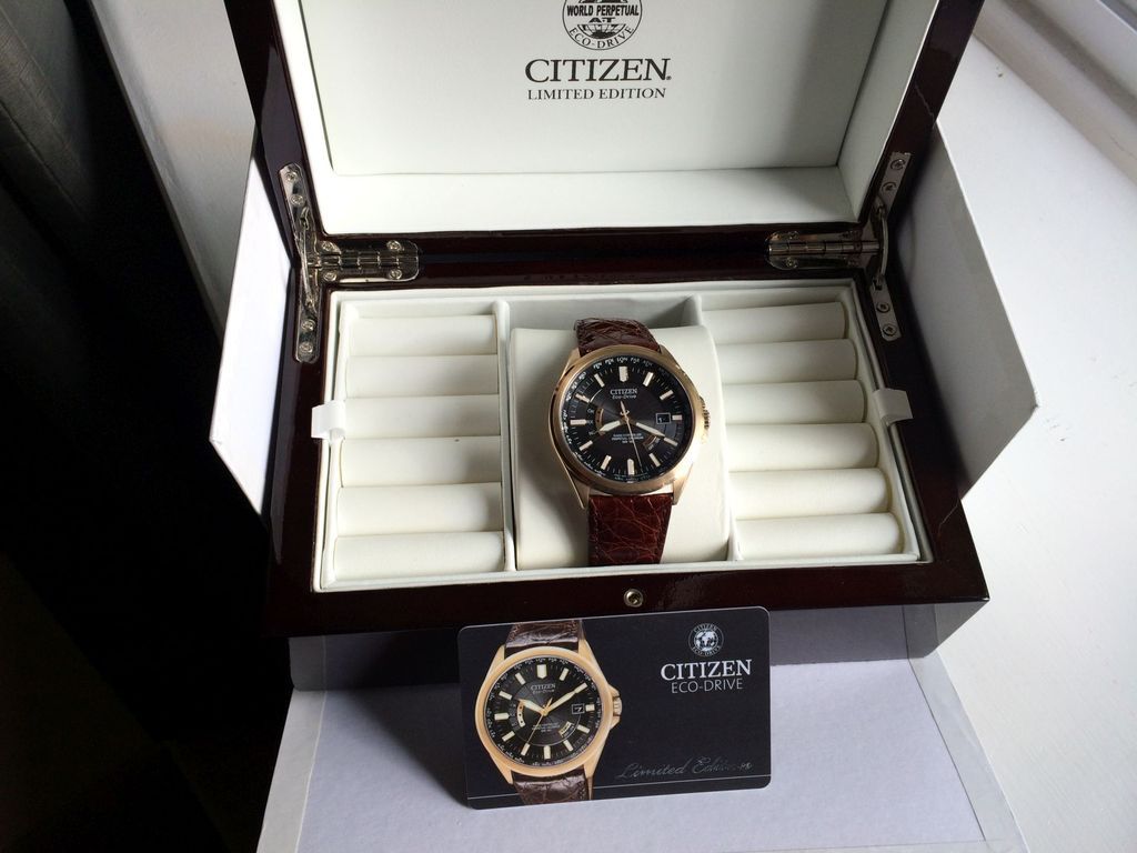 citizen eco drive 38mm case