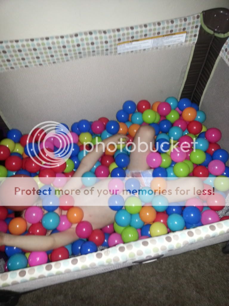 pack n play ball pit