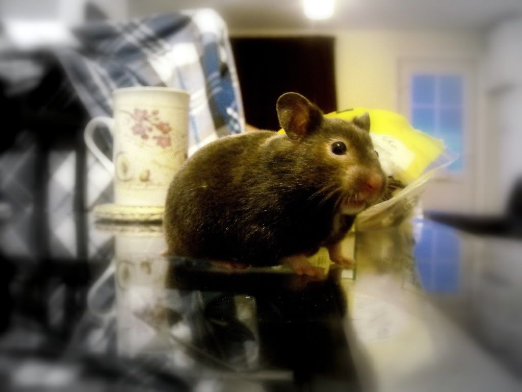 DSCF0030.jpg