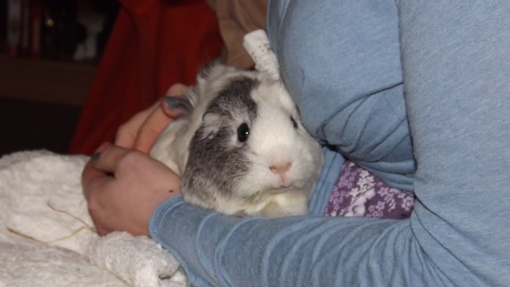 DSCF0214.jpg