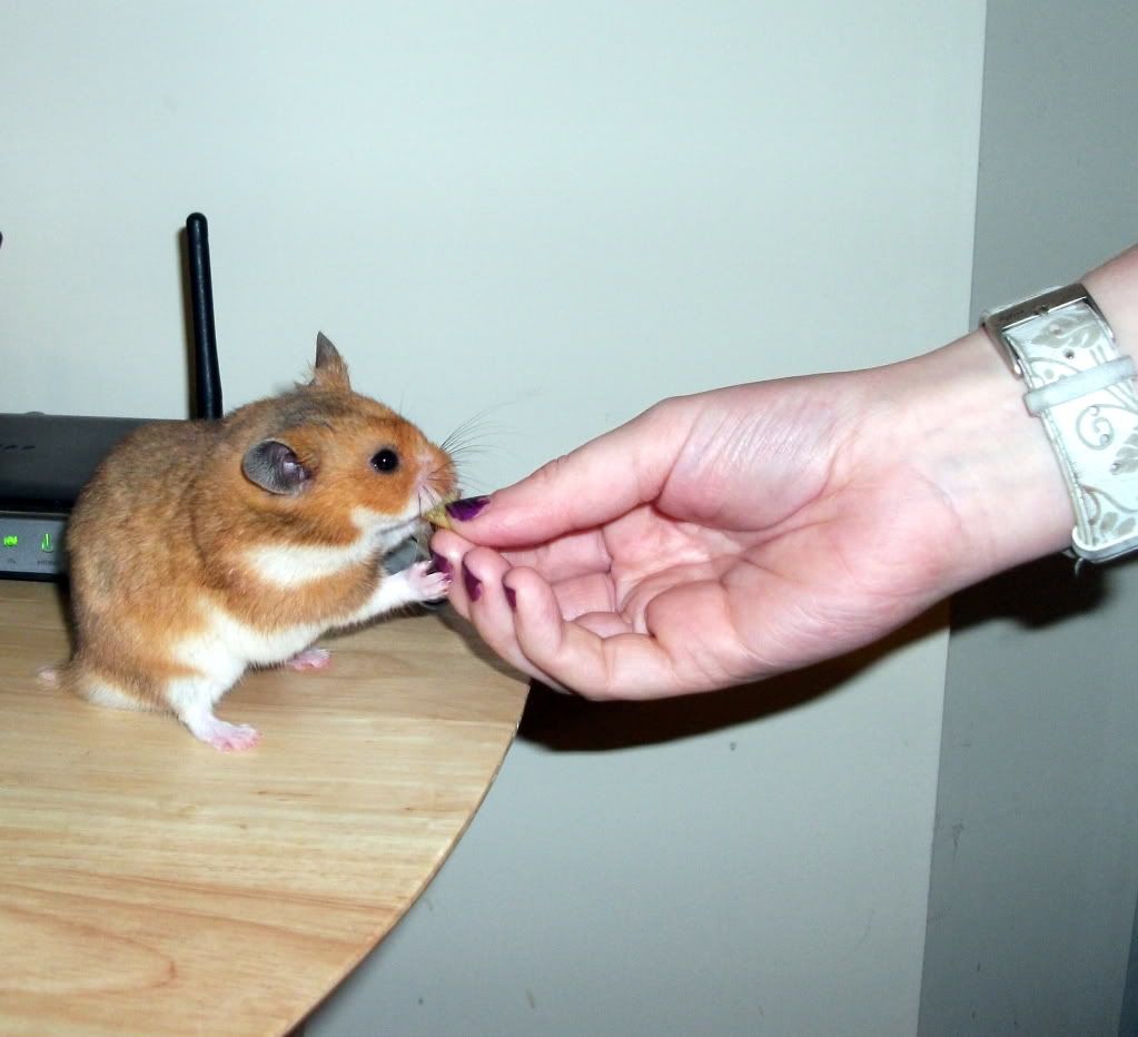 DSCF2038.jpg