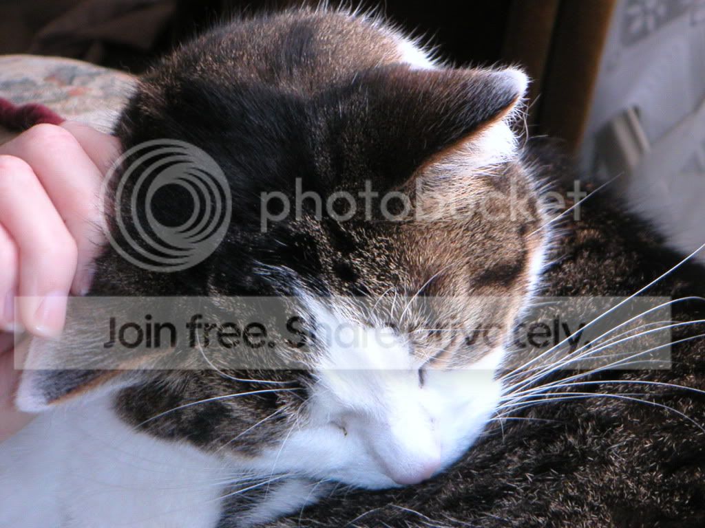 PICT0002.jpg