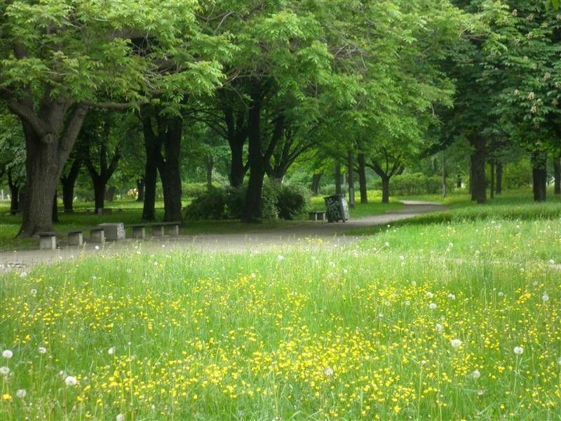 photo dP5250050_zpsa0079856.jpg