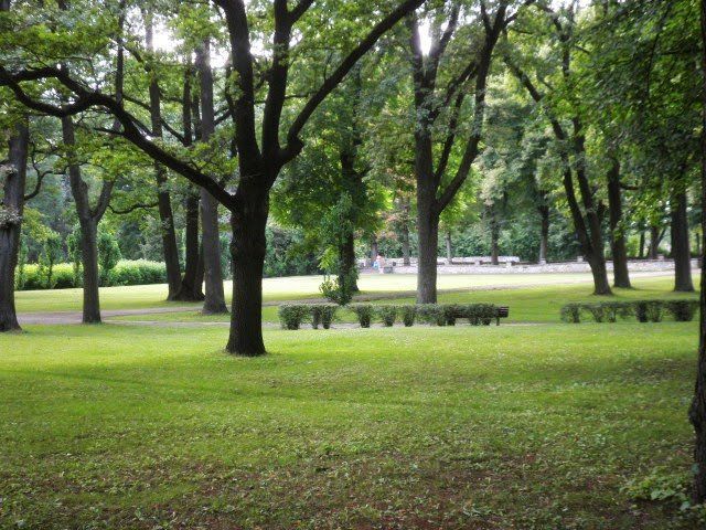 photo P6300258_zps71a6f7c5.jpg