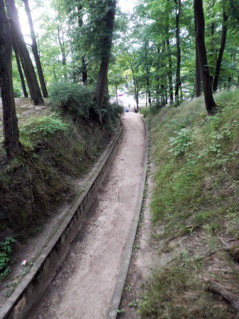 photo P6300260_zps32264617.jpg