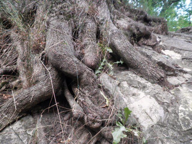photo P6300261_zps70185f19.jpg