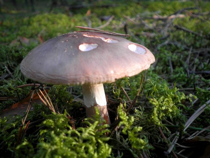 photo cP8150107_zpsed5dd5f7.jpg