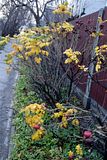 photo DSC00305_zps313370bb.jpg