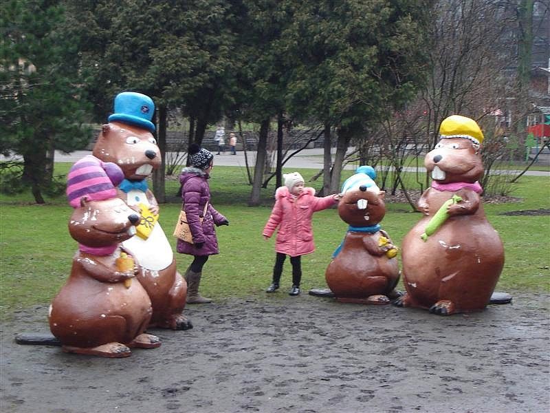 photo DSC00993_zps2f5c3a9c.jpg