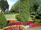photo DSC08212Medium_zpsb8c1af21.jpg