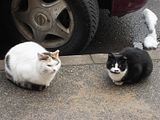 photo DSC00853_zps9466be0d.jpg