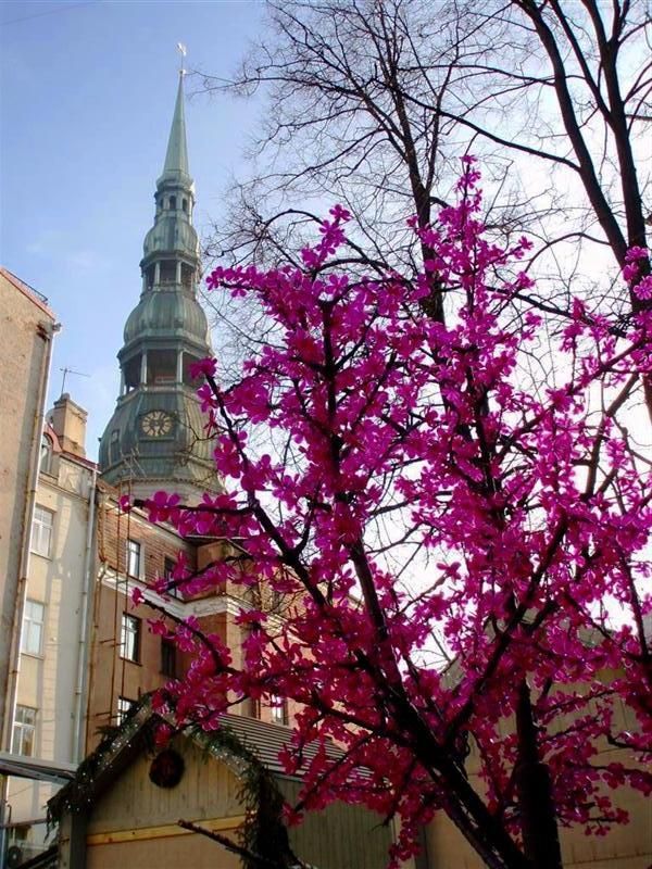 photo ab_zpshjo6lz8a.jpg