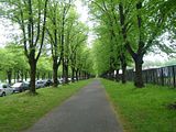 photo DSC02917_zpstorxsdx9.jpg