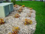 photo DSC02624_zpsgwxjqiii.jpg
