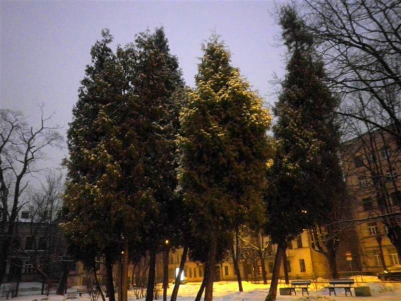 photo nP3280045Medium_zps87d37649.jpg